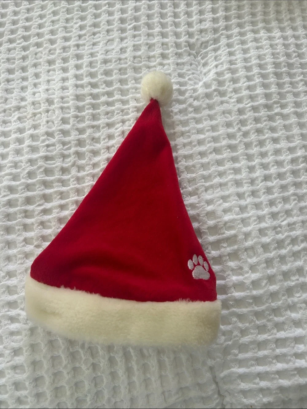 🐶 Dog Santa Hat Worn Once for Small Dog 🎅🏼